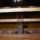 V epruveto nato dodamo še nekaj destilirane vode, da se srebrov nitrat raztopi.
