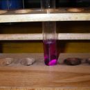 Opazimo, da se epruveta obarva rožnato vijolično, to je dokaz, da je bila snov aldehid, am