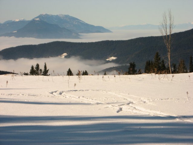 Petra Majdič na Rogli 25.12.2006 - foto