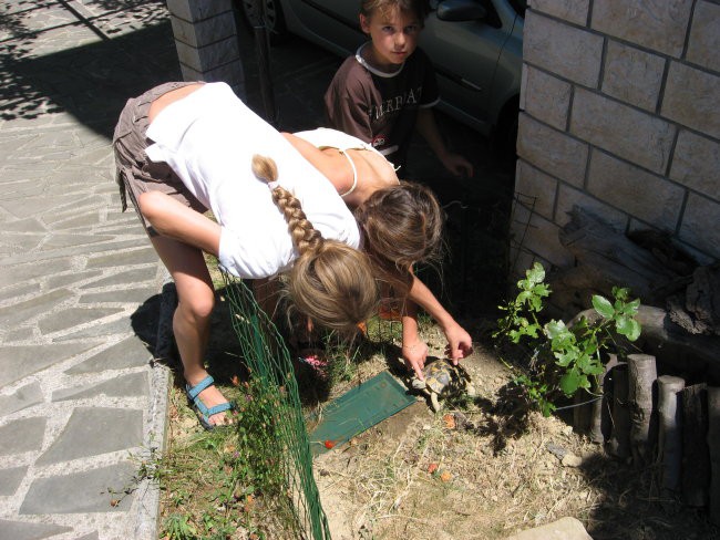 Beli Križ, Piran 15-16.7.2007 - foto povečava