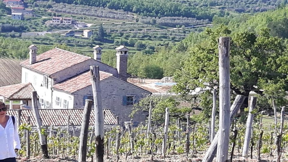 Pogled z vinograda