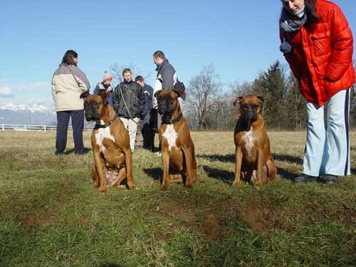 Zajcja Dobrava - 22.1.2005 - foto povečava