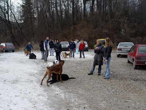 Kranj - 23.1.2005 - foto