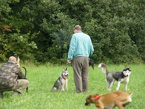 Zajcja Dobrava - 8.10.2005 - foto povečava