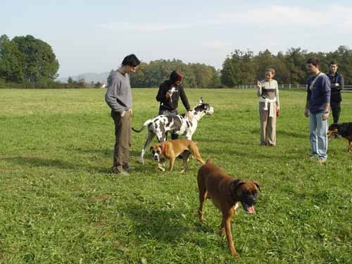 Zajcja Dobrava - 22.10.2005 - foto povečava