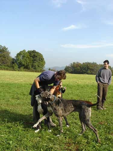 Zajcja Dobrava - 22.10.2005 - foto povečava