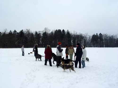 Zajcja Dobrava - 26.2.2005 - foto povečava