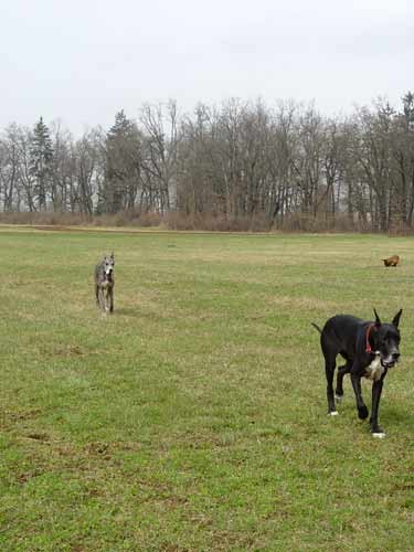 Zajcja Dobrava - 26.3.2005 - foto povečava