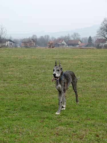 Zajcja Dobrava - 26.3.2005 - foto