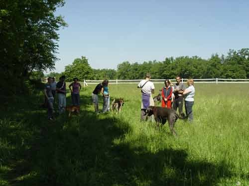 Zajcja Dobrava - 21.5.2005 - foto povečava