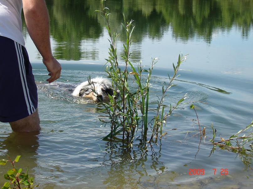 POLETJE 2009 - foto povečava