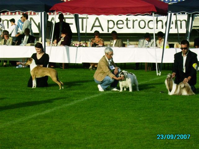 MIX - foto povečava