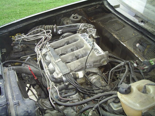 CORRADO 2 - foto