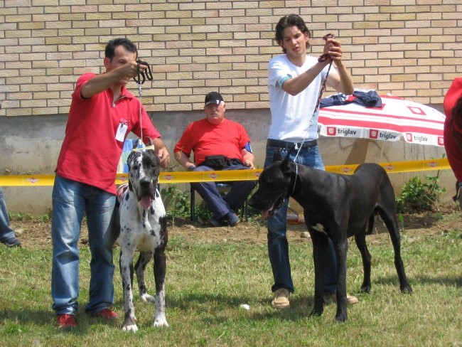 From Long neck - foto povečava