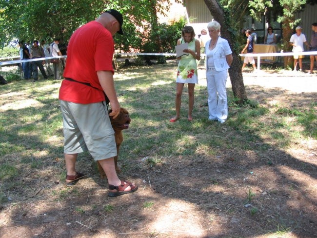 CAC, CACIB v SCG 25-26-06 - foto povečava