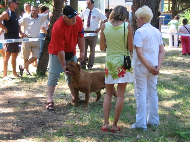 CAC, CACIB v SCG 25-26-06 - foto povečava