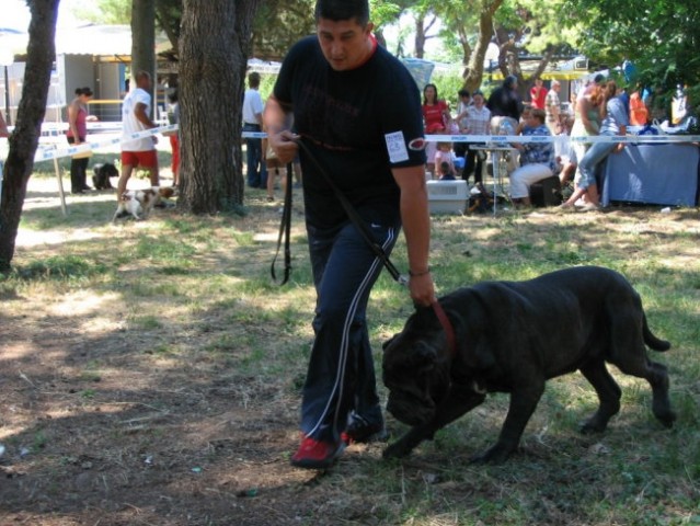 CAC, CACIB v SCG 25-26-06 - foto