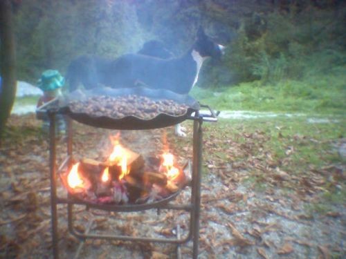Piknik pred domačo hišo