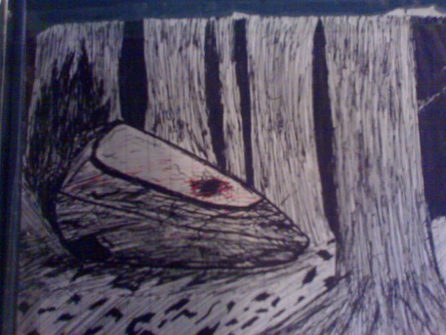 Drawings - foto