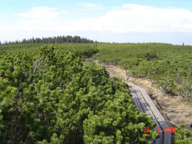 ČEZ POHORJE - 20. - 22. maj 2004 - foto