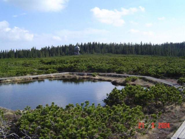 ČEZ POHORJE - 20. - 22. maj 2004 - foto