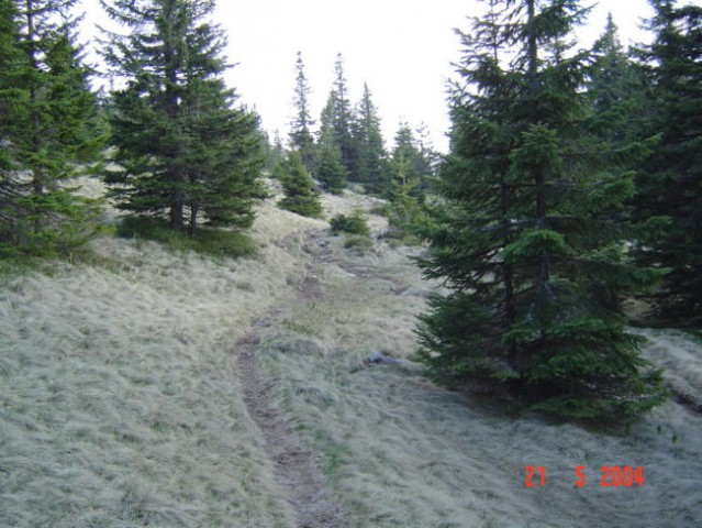 ČEZ POHORJE - 20. - 22. maj 2004 - foto