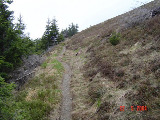 ČEZ POHORJE - 20. - 22. maj 2004 - foto