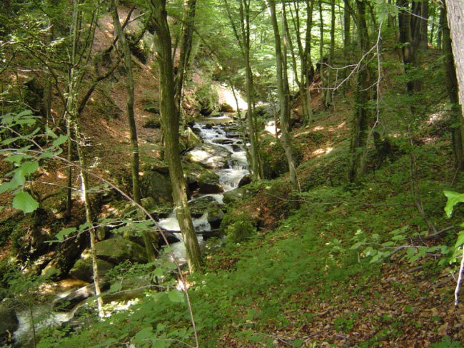 BISTRIŠKI VINTGAR 9. junij 2007 - foto povečava