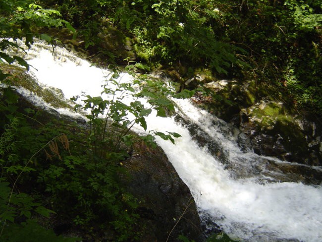 BISTRIŠKI VINTGAR 9. junij 2007 - foto povečava