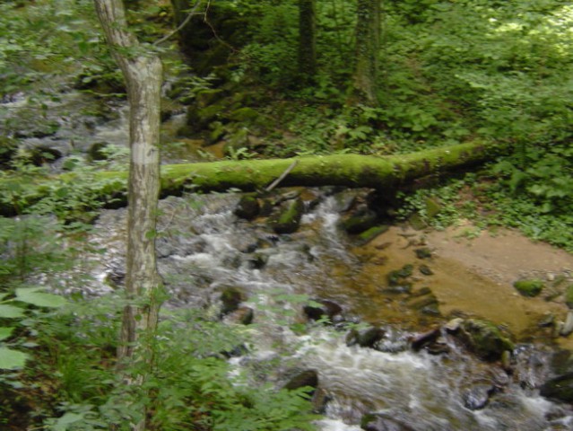 BISTRIŠKI VINTGAR 9. junij 2007 - foto