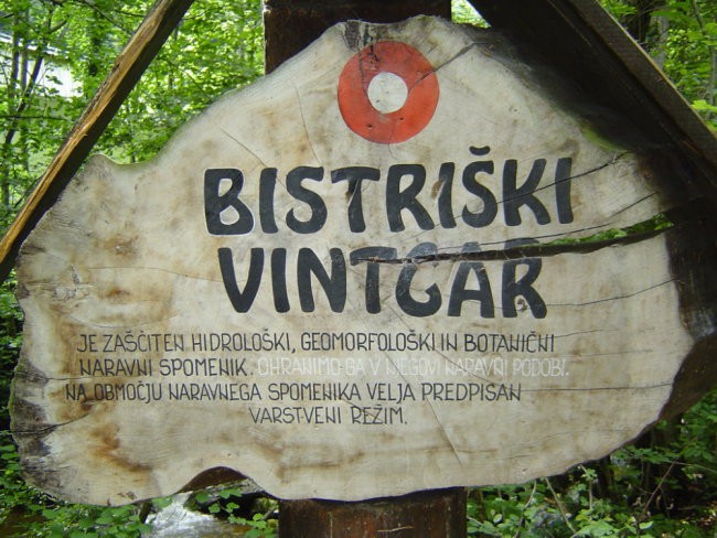 BISTRIŠKI VINTGAR 9. junij 2007 - foto povečava