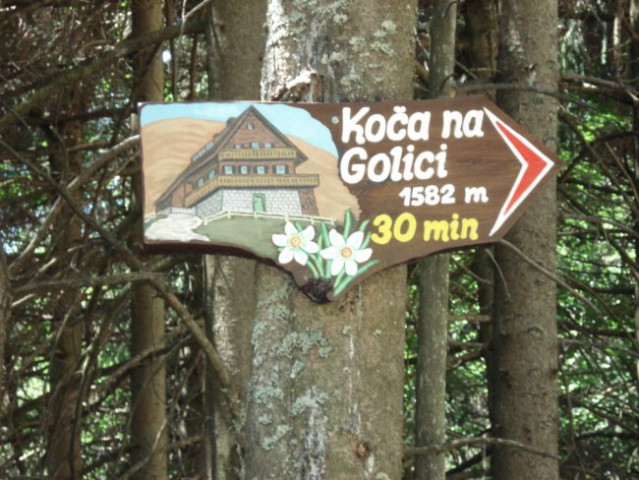 GOLICA (Vrzel Andrej) - foto