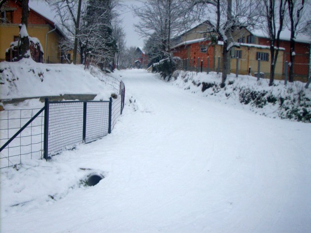 ZA STRANICU - foto povečava