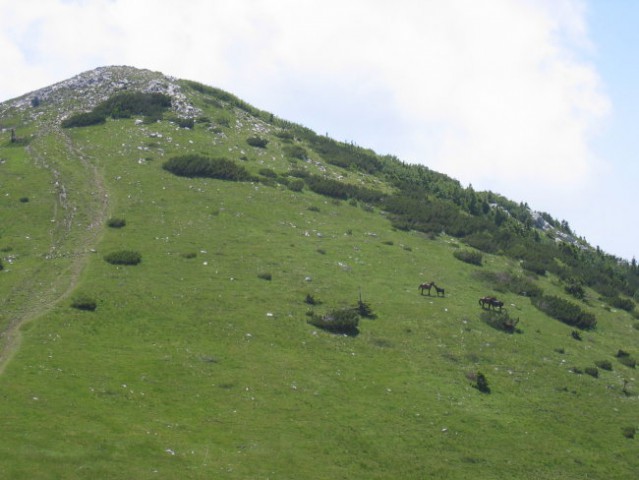 Zavižan - foto