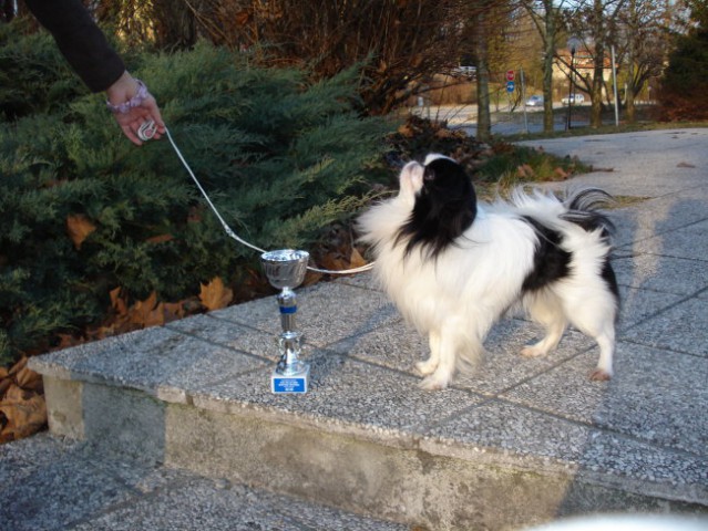Winter winner 2008 - foto