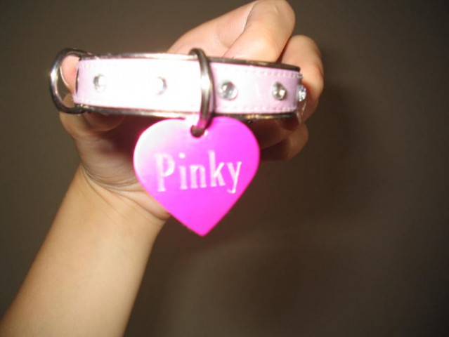 Pinky(4mesece) - foto