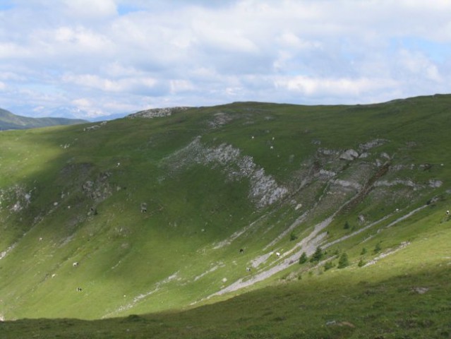 Okoliško višavje