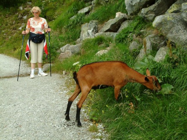 Maltatal 2004 - foto