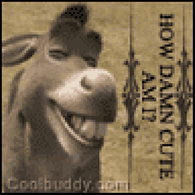Donkey :D
