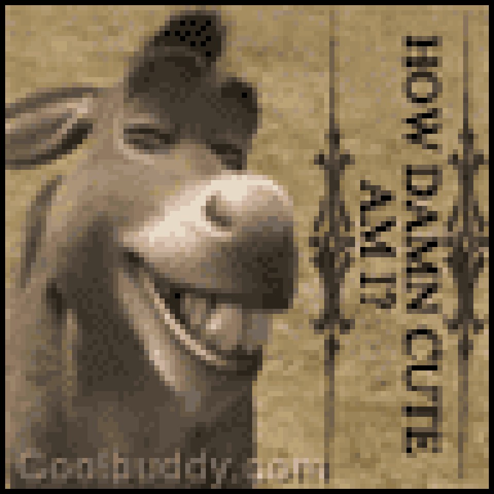 donkey :D