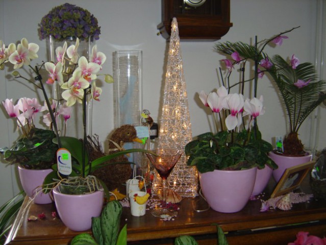 Božič 2006 - foto