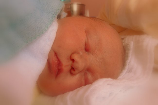 Rojstni dan 24.01.2007 - foto povečava
