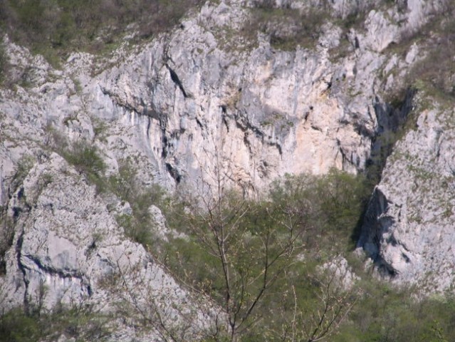 Vipava - 27.4.2005 - foto
