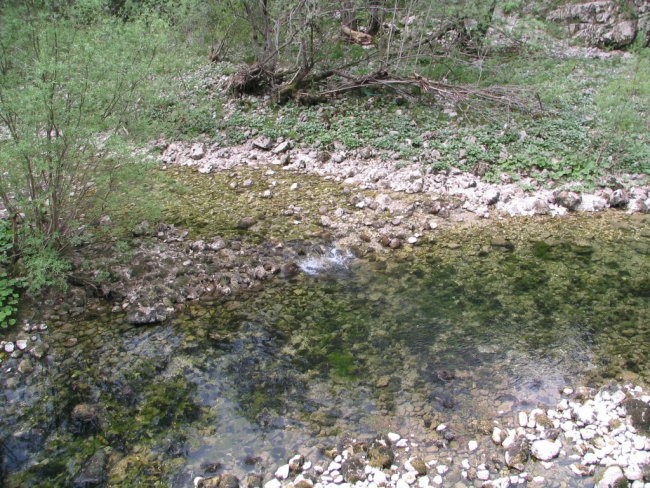 Terenske vaje - Idrija, Vojsko - april 2007 - foto povečava