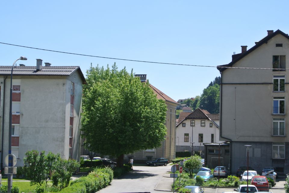 Trg na stavbah, Litija