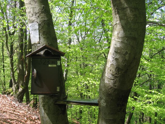 Svibno