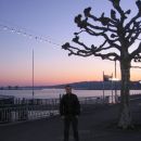 Jutro ob Ženevskem jezeru