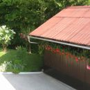 Z balkona hiše je slikana drvarnica z bršljinkami :)