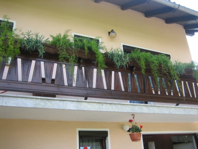Letošnji balkon(2007)!