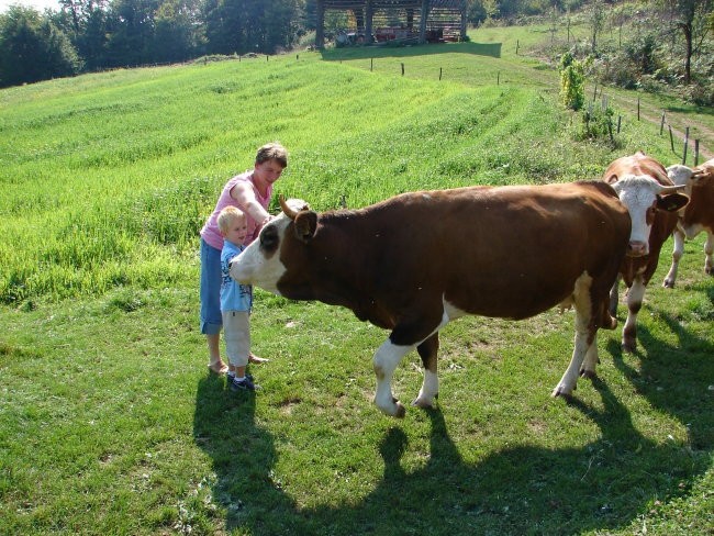 SREČANJE PRI METKI NA KALIŠEVCU - foto povečava